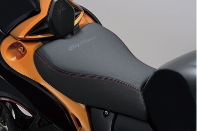 Suzuki Hayabusa Coloured Seat